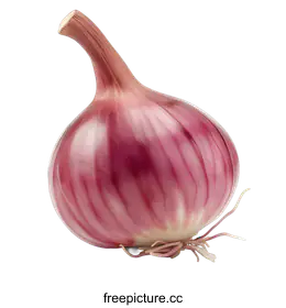 red onion
