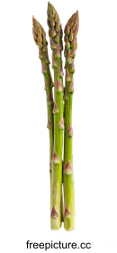 asparagus