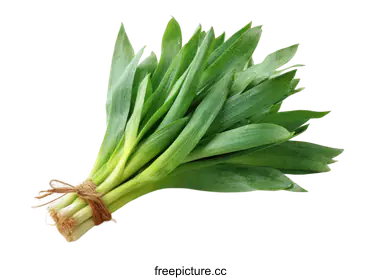 scallions