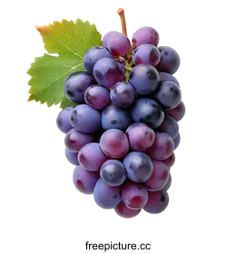 grapes