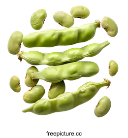 close up photography