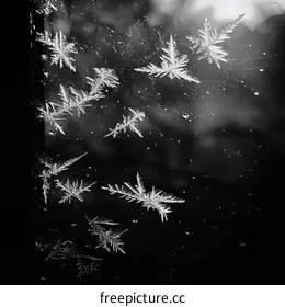 snowflake