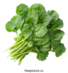 green vegetable
