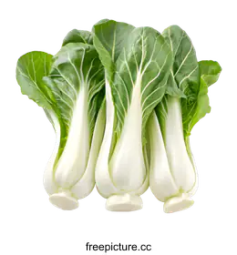 bok choy