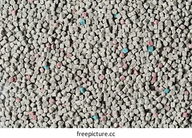 responsible pet ownership