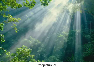 god rays