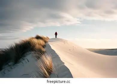sand dune