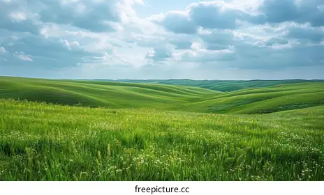 green hills
