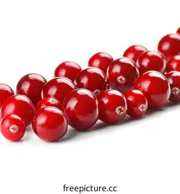 cranberries