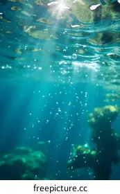 underwater