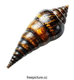 education photography