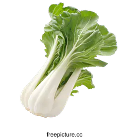 bok choy