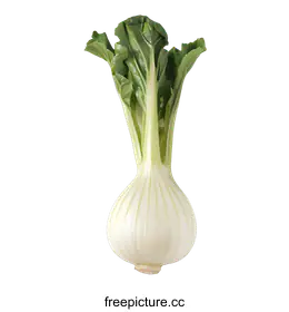 bok choy