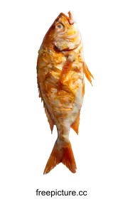 commercialphotography